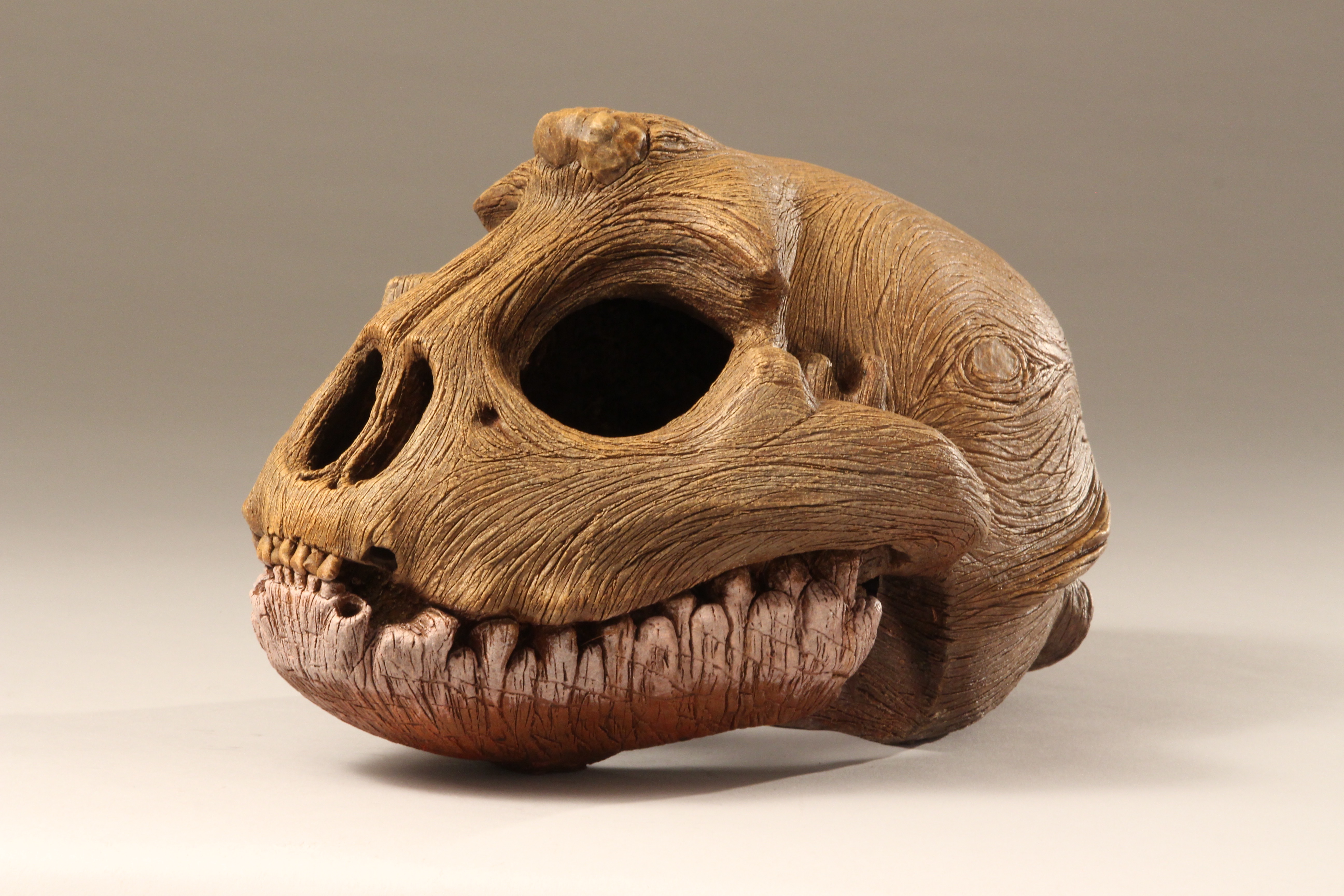 a fine arts example of Travis' fired clay and patinaed skull as it comes to life