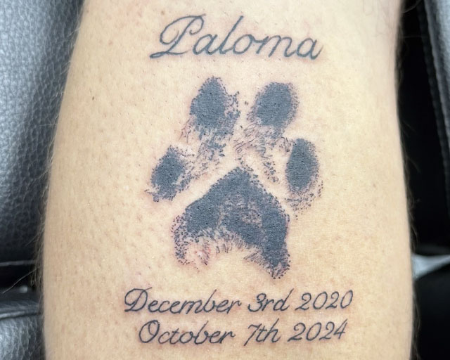 Lettering Font and Script Pet Memorial Tattoo of a pawprint and the important dates