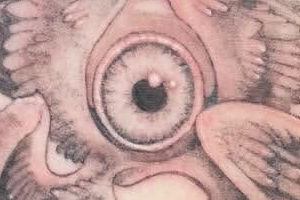 A tattoo of Seraphim, with six wings and a single eyeball