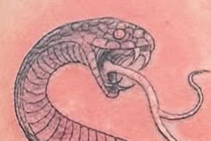 A tattoo that depicts a realistically rendered black snake coiled on the wearer's arm, showcasing detailed scales and a sense of movement.